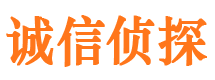 东乡族侦探公司